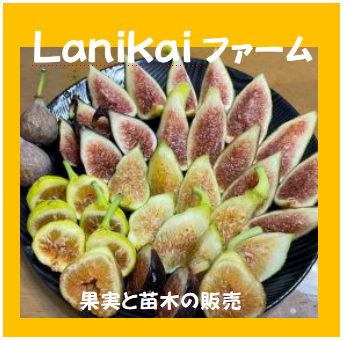 Lanikaiファーム